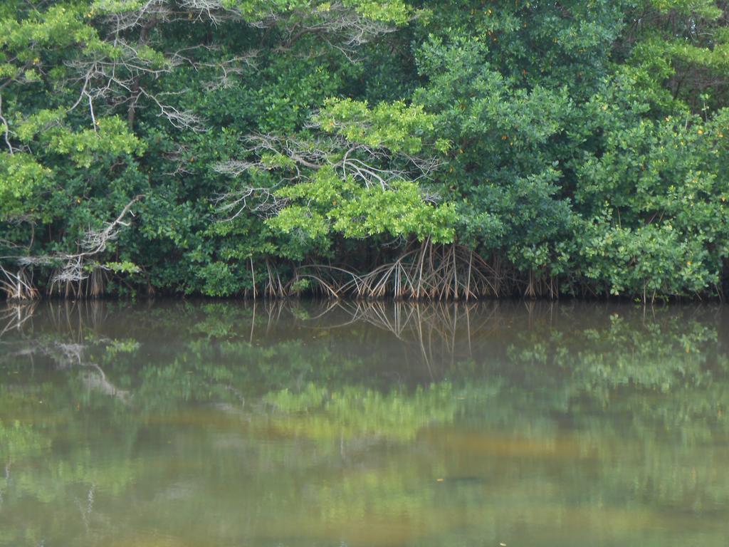 Villa Sans-Souci Lowlands Dış mekan fotoğraf