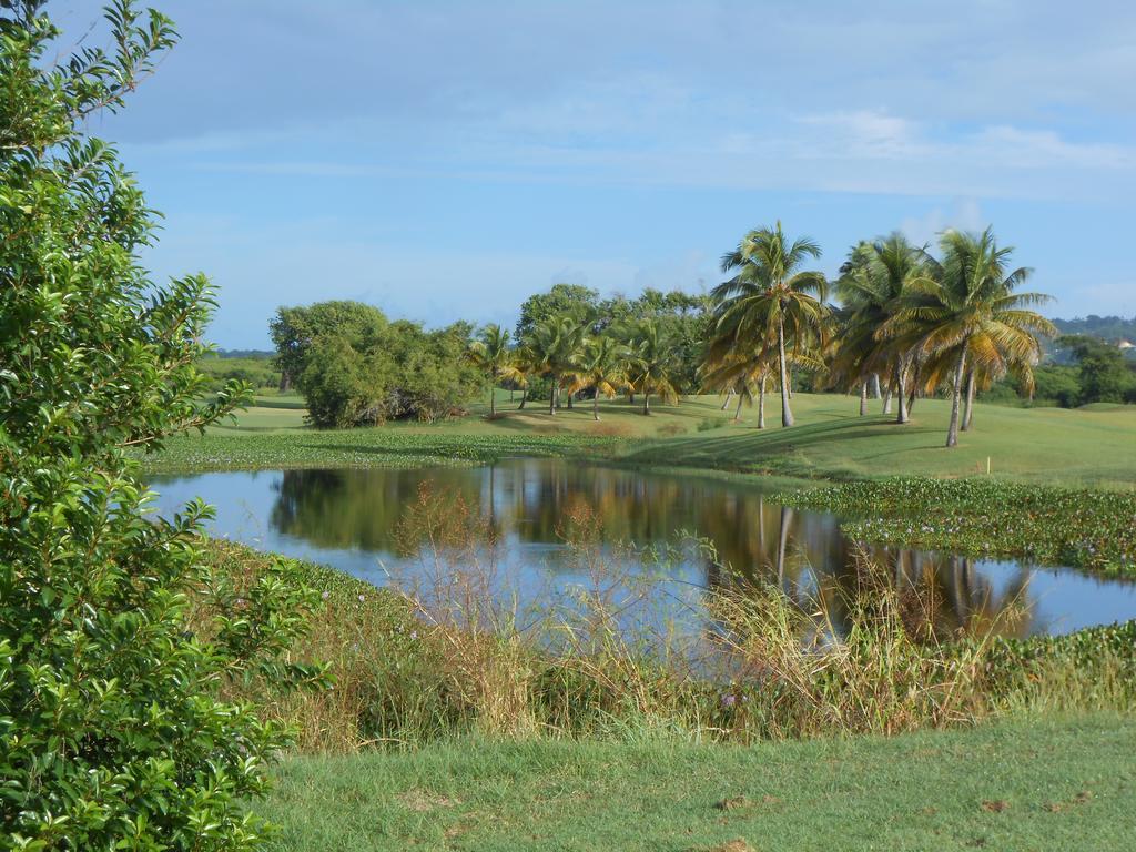 Villa Sans-Souci Lowlands Dış mekan fotoğraf